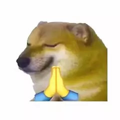 doge 拜托祈祷表情包