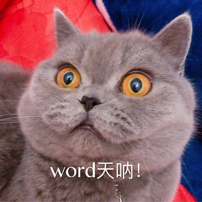 word 天呐（我的天呐 猫咪）