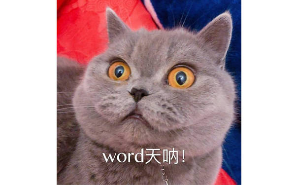 word 天呐（我的天呐 猫咪）