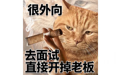 很外向去面试直接开掉老板 - 很内向很外向猫猫表情包