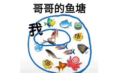 我在哥哥的鱼塘里（好多鱼）