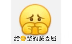 给爷整的贼委屈 - 小黄脸斗图表情包