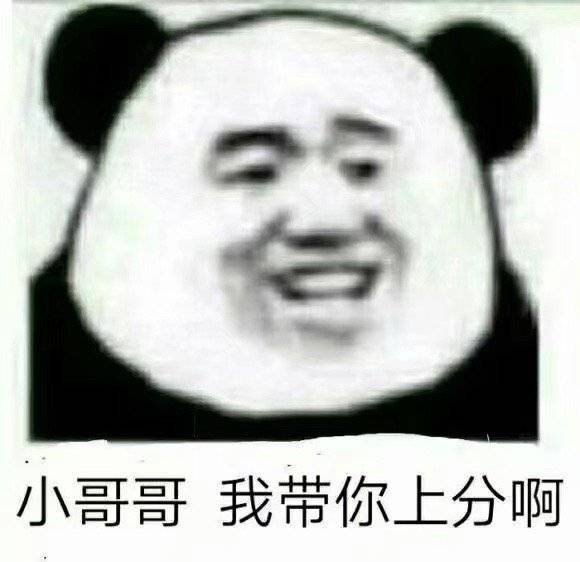 小哥哥我带你上分啊