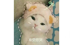 难受想哭 - 一组萌翻了的猫咪表情包