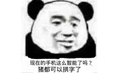 现在的手机这么智能了吗?猪都可以拱字了(熊猫头怼人表情包)