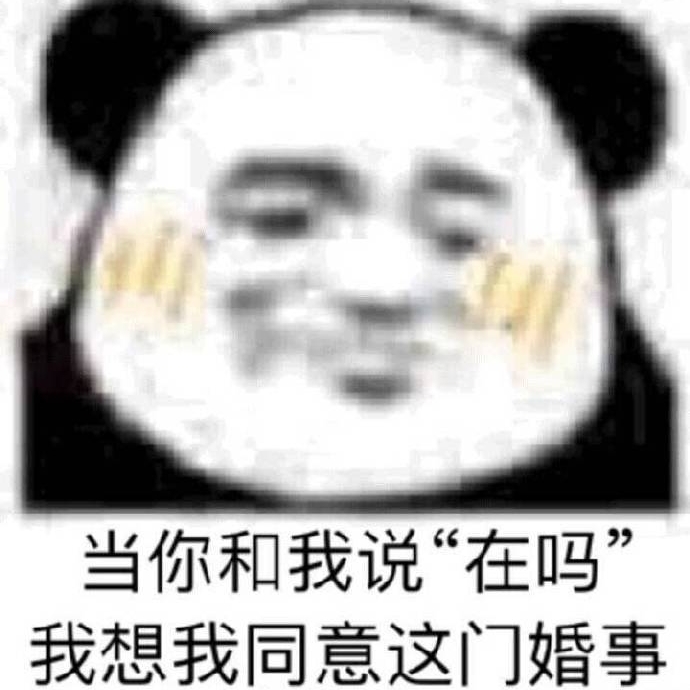 当你和我说“在吗我想我同意这门婚事(熊猫头表情包)