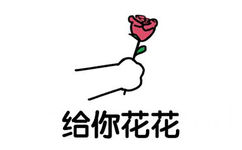 给你花花