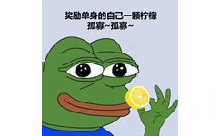 奖励单身的自己一颗柠檬孤寡~孤寡~(七夕节孤寡青蛙表情包)