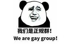 我们是正规群！（we are gay group!）