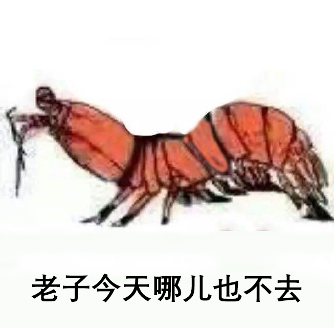 老子今天哪儿也不去了 - 皮皮虾今天哪儿也不想去了… ​