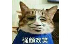 强颜欢笑！（金馆长小猫）