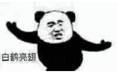 熊猫头练武 GIF 动图 - 一组适合群聊的 GIF 动图
