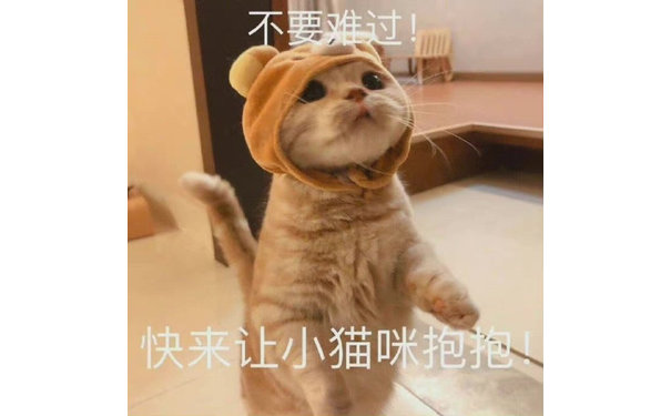 不要难过快来让小猫咪抱抱