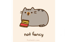 not fancy - 萌萌哒小猫