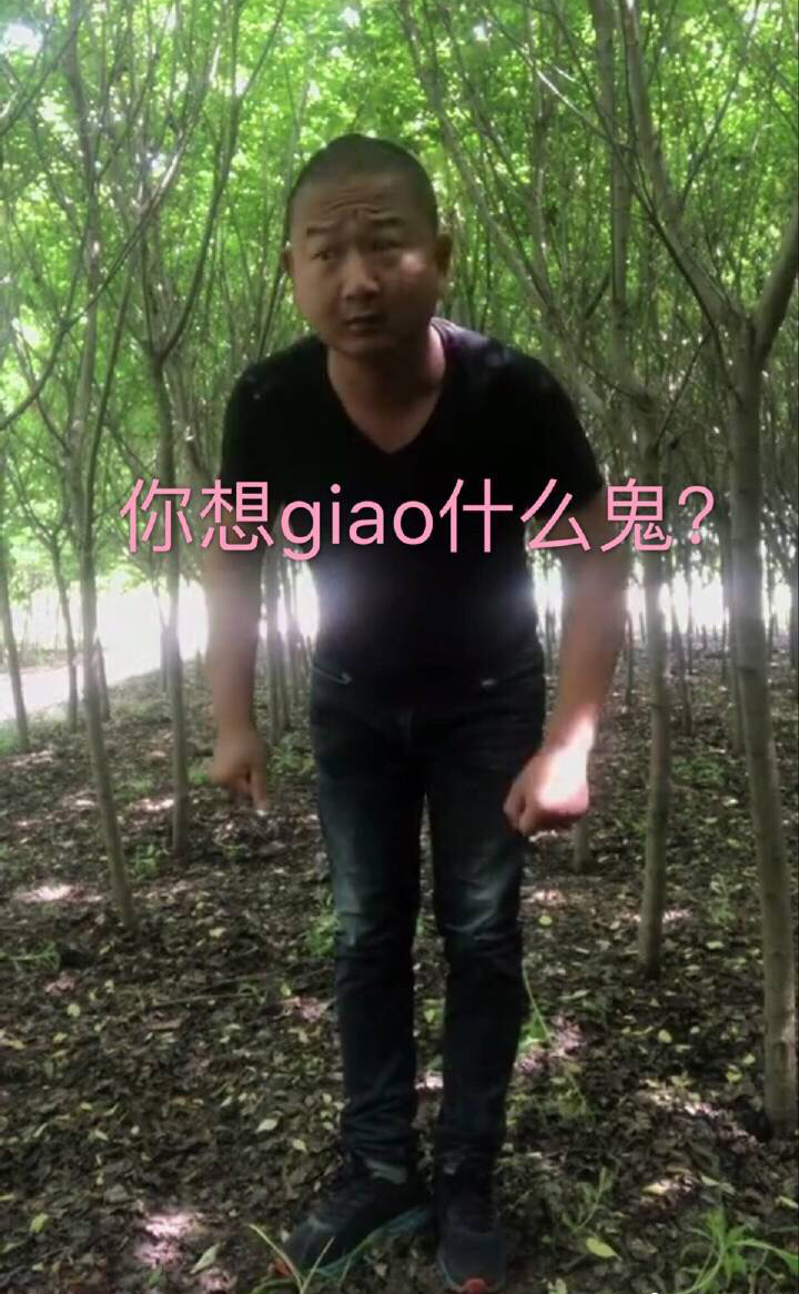 你想 giao 什么鬼?(giao哥）