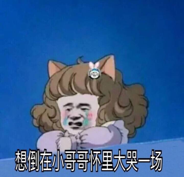 想倒在小哥哥怀里大哭一场