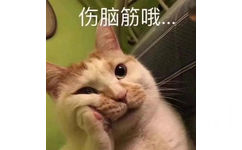 伤脑筋哦(猫咪表情包)