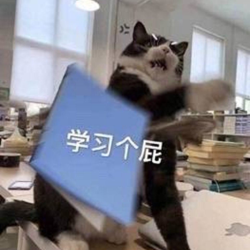 学习个屁（猫咪丢书本）