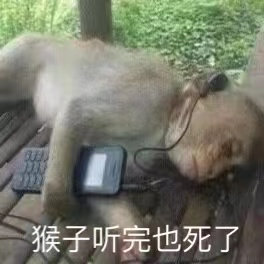 猴子听完也死了