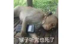 猴子听完也死了