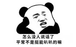 怎么没人说话了，平常不是挺能叭叭的嘛（熊猫头群聊表情包）