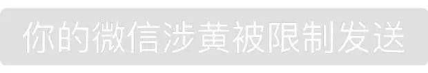 你的微信涉黄被限制发送 - 一组高仿微信系统消息表情包