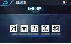 5v5组队，对面五条狗 - 玩王者农药必备的五黑头像，完美镇压对面，哈哈最后扎心了