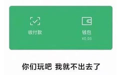 收付款钱包￥0.00你们玩吧我就不出去了