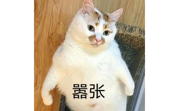 嚣张(猫咪楼楼)