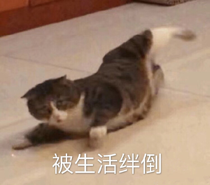 被生活绊倒（熊猫头）