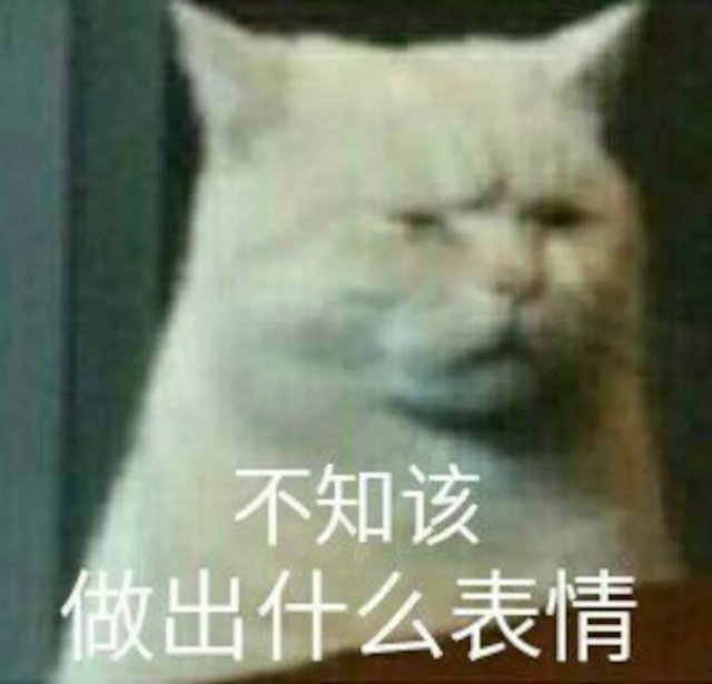 不知该做出什么表情(猫咪)