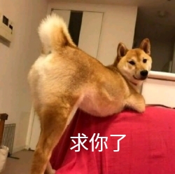 求你了（doge 撅起屁屁）