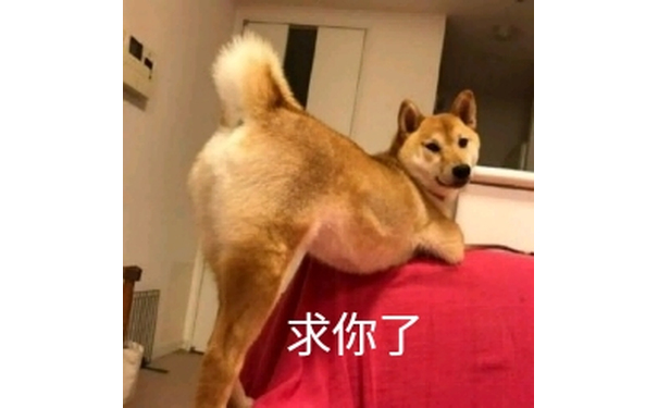 求你了（doge 撅起屁屁）