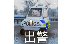 高清猫咪开警车 猫咪出警表情包