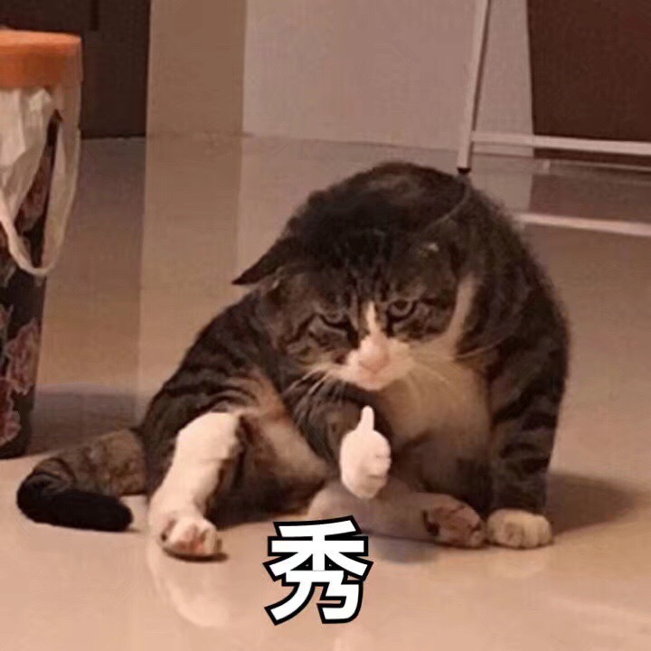 秀(猫咪给你竖大拇指点赞：优秀)