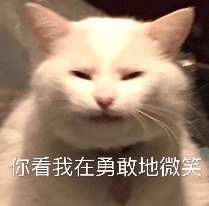 你看我在勇敢地微笑 - 猫猫表情包 ​