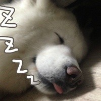 ZZZZZZZZZZZZ好困 - 不想丧班！