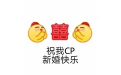 囍祝我CP新婚快乐 - 嗑CP表情包