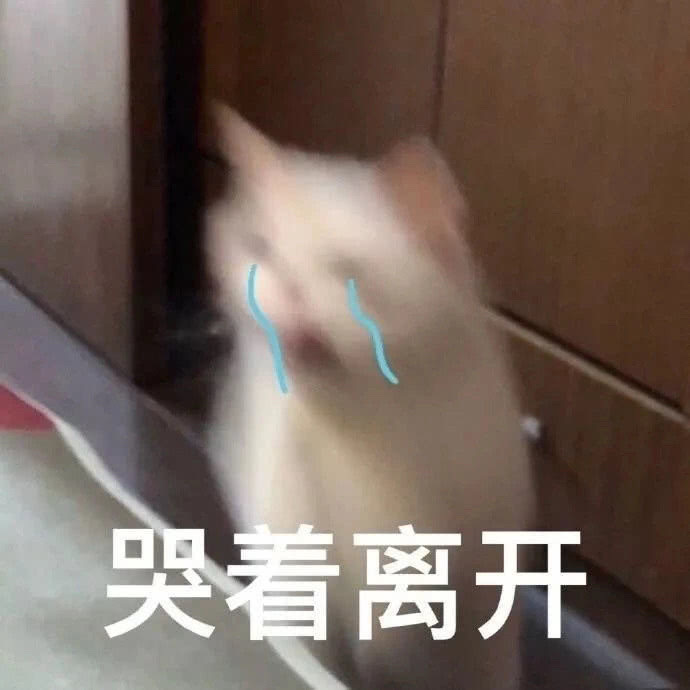 哭着离开(猫咪表情包)