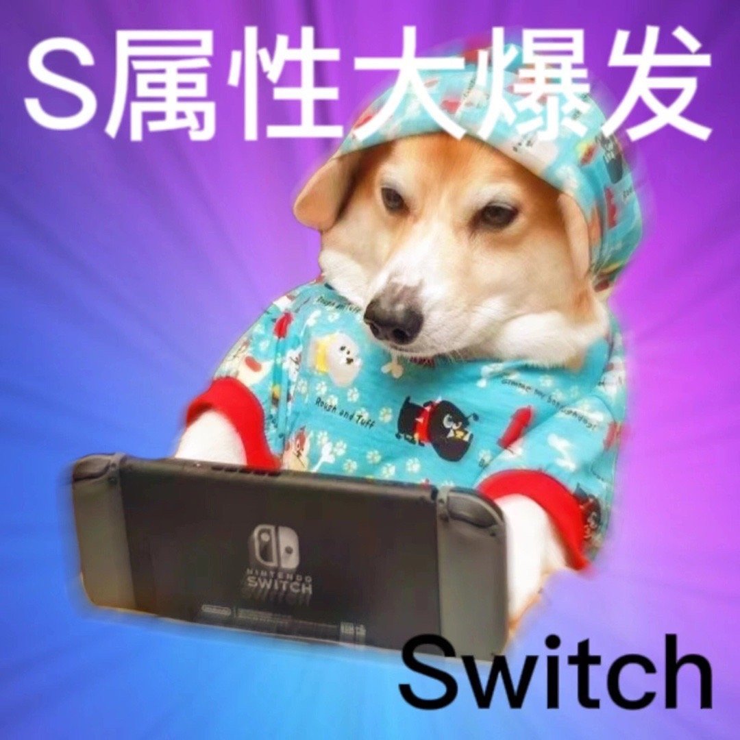 S属性大爆发Rough and TuffSWITCHSwitch - S属性M 属性大爆发表情包