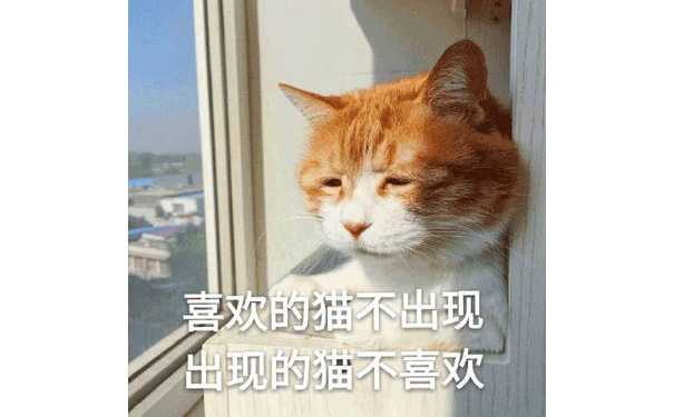 喜欢的猫不出现，出现的猫不喜欢 - 一组很丧的喵​