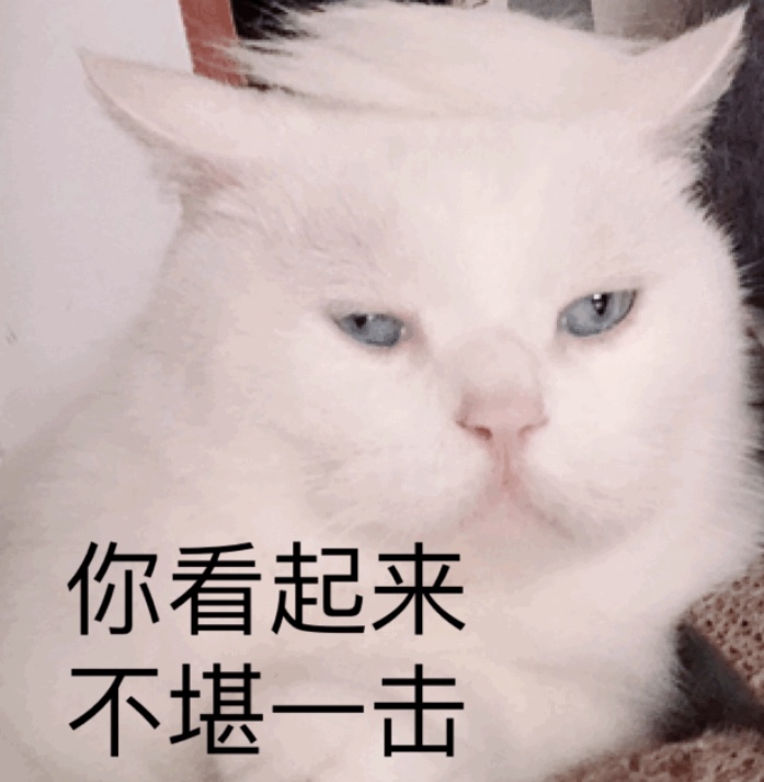 你看起来不堪一击 - 都是猫猫表情包