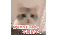 脑袋里在开 party不晃都不行(喵星人)