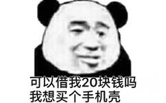 可以借我20块钱吗，我想买个手机壳（熊猫头）