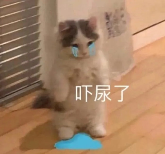 吓尿了(猫咪表情包)