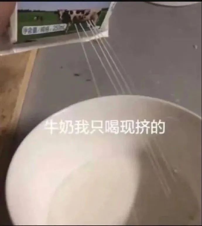 净含牛奶我只喝现挤的