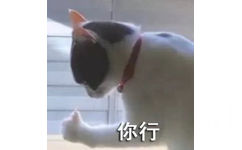 你行(猫咪竖大拇指表情包)