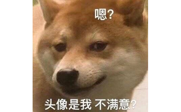 嗯?头像是我不满意