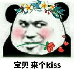 宝贝，来个 kiss（熊猫头）