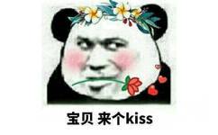 宝贝，来个 kiss（熊猫头）